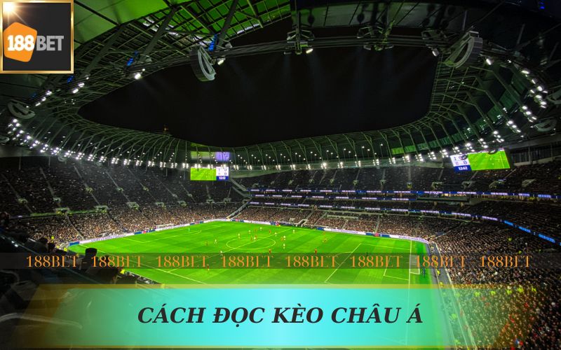 CÁCH ĐỌC KÈO CHÂU Á